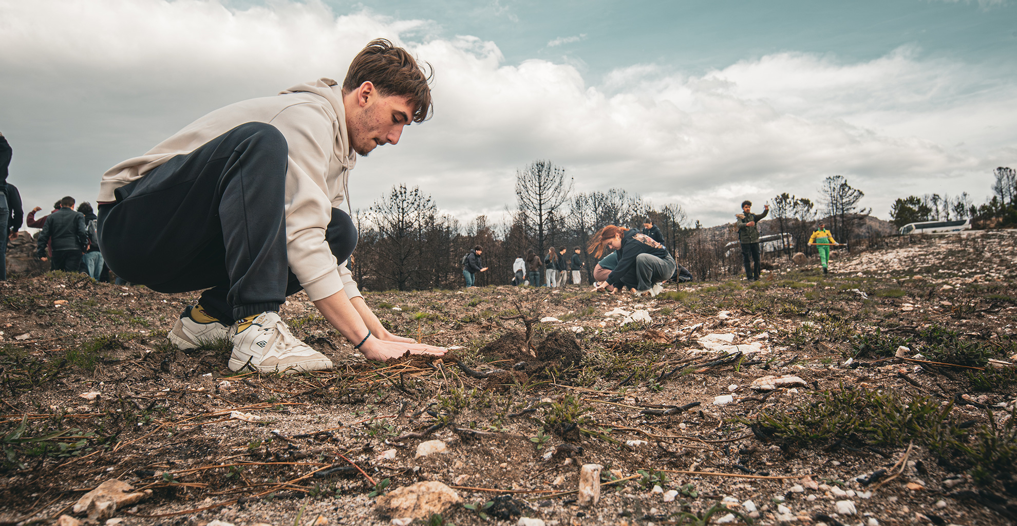 DIA MUNDIAL DA ÁRVORE E DA FLORESTA 2026